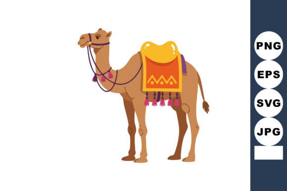 Camel with Decorative Saddle and Harness Graphics
