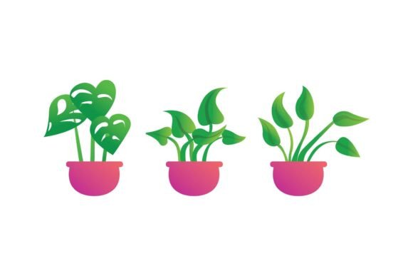 Flower Fast Decorative Graphics