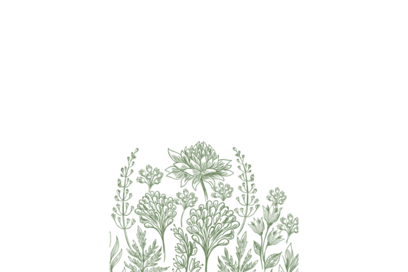 Hand Drawn Flower Card for Crafters and Designers
